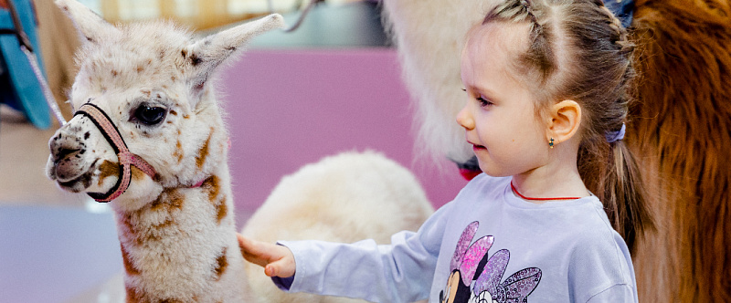 ОТДЫХ С ДЕТЬМИ В ПОДМОСКОВЬЕ ВСЁ ВКЛЮЧЕНО! изображение номер 46